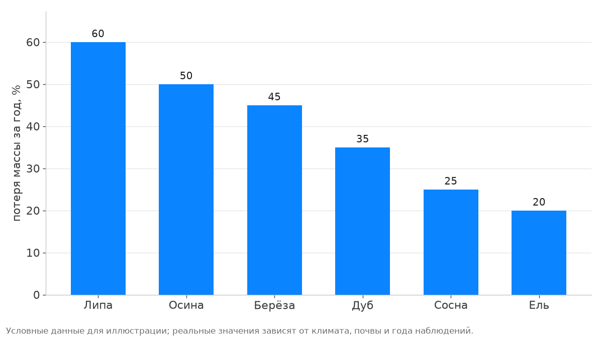 Столбчатая диаграмма: доля разложившегося за год опада липы, осины, берёзы, дуба, сосны и ели