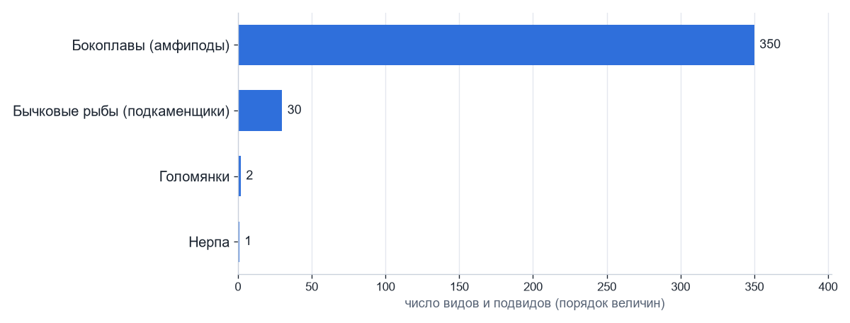 Число видов в некоторых группах эндемиков Байкала (приблизительно)