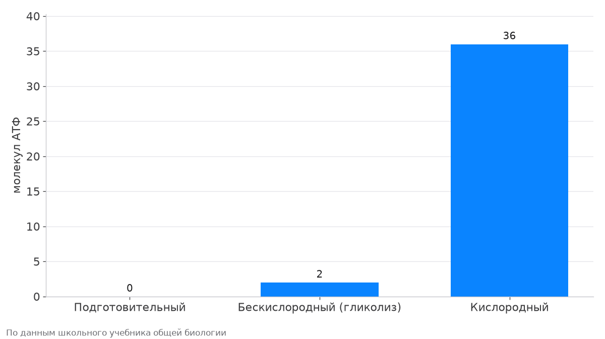 Выход АТФ на подготовительном, бескислородном и кислородном этапах