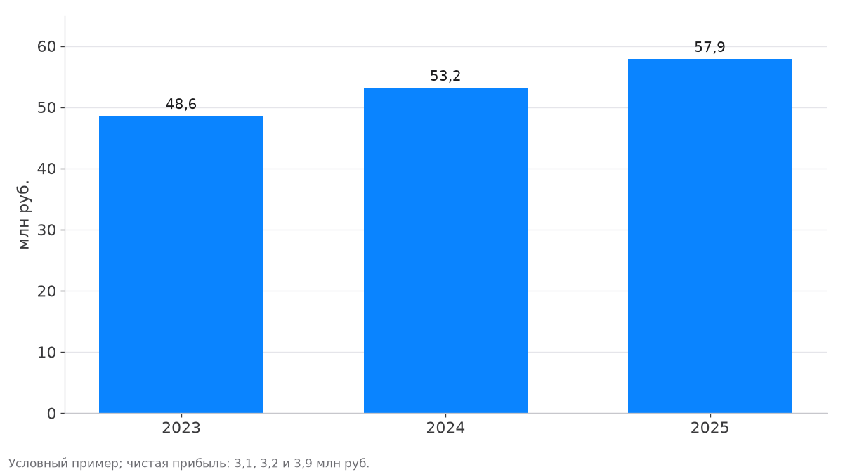 Выручка выросла с 48,6 млн руб. в 2023 году до 57,9 млн руб. в 2025 году