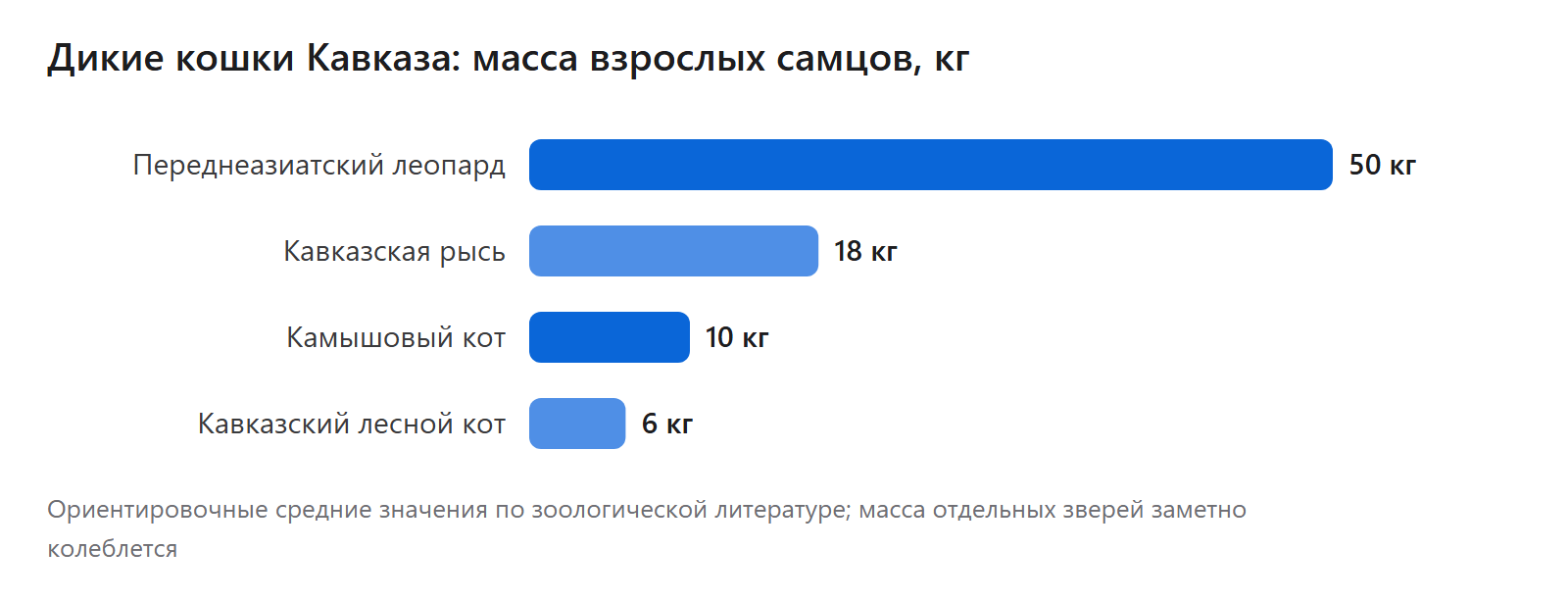 Дикие кошки Кавказа: масса взрослых самцов, кг