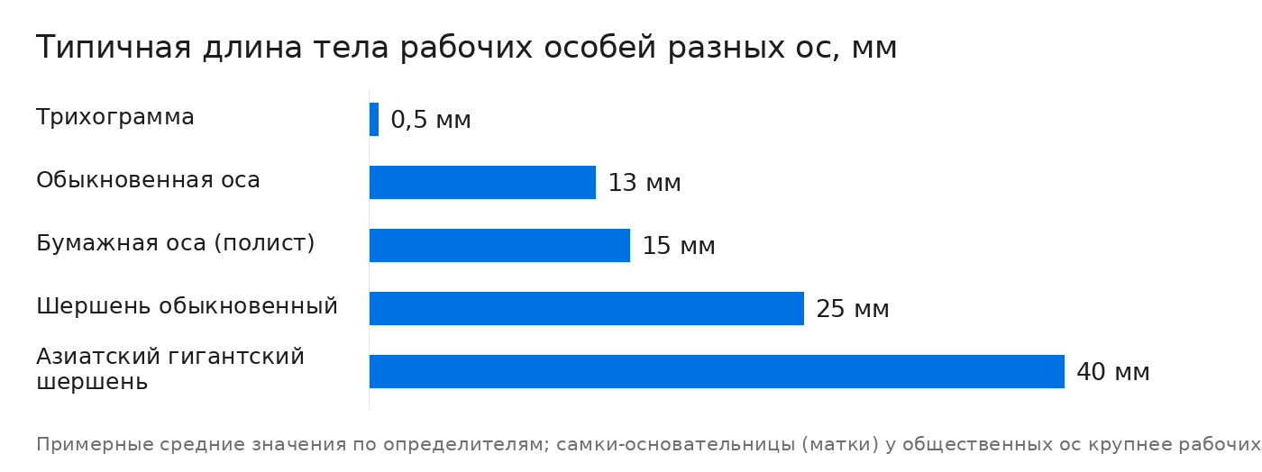 Типичная длина тела рабочих особей разных ос, мм
